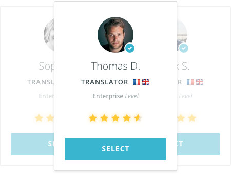 professional-translatorprofessional-translator